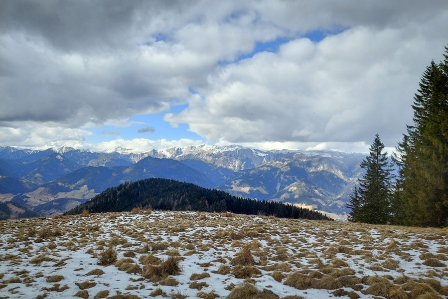 Aussicht von der Zöberer Höhe in Richtung Hochschwab. Foto: Alice Frischherz