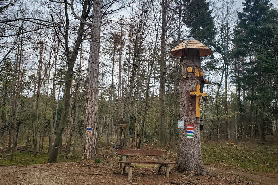 Die zweite große Wegkreuzung. Hier führen einige Wege zusammen. Ich folge weiterhin der grünen Markierung zum Herrgottschnitzerhaus. Foto: Linda Prähauser