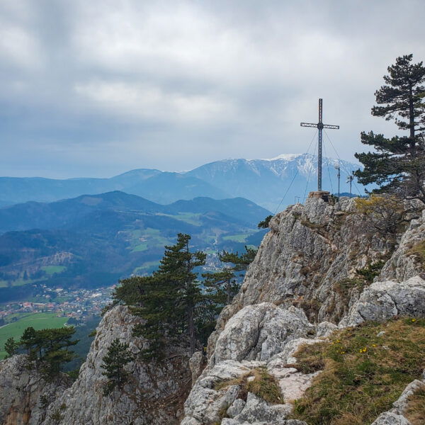 Mein absoluter Lieblingsblick von der Eicherthütte auf den Schneeberg. Foto: Linda Prähauser