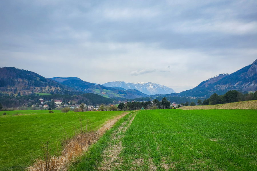 Am Weg zum Bahnhof kann man nochmal die Aussicht auf den Schneeberg genießen. Foto: Linda Prähauser