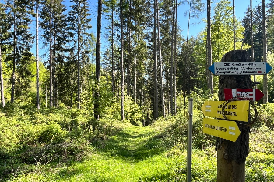 Weiter geht’s in Richtung Wiesenbachtal. Foto: Birgit Matzinger