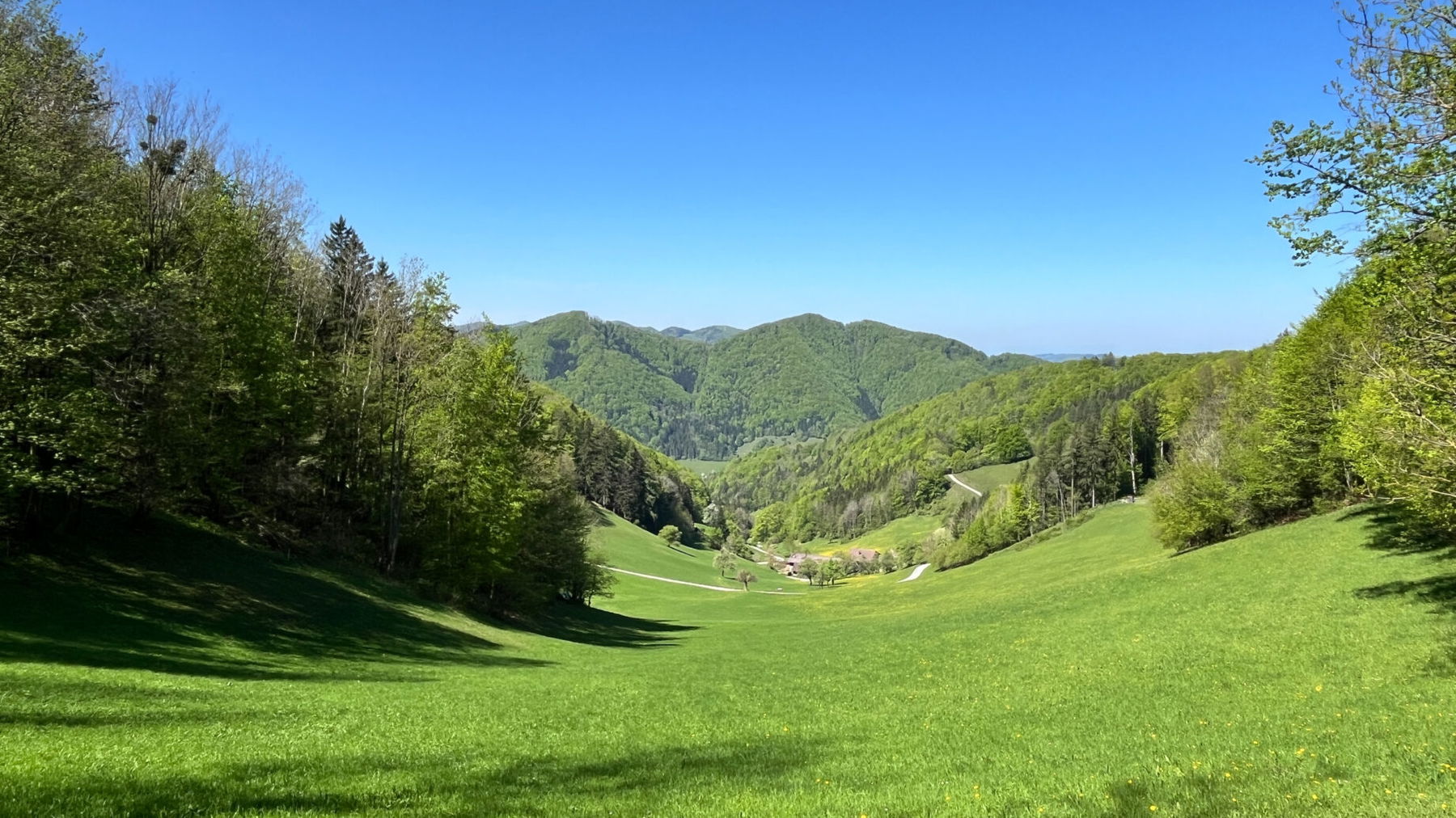 Idyllische Frühlingslandschaft. Foto: Birgit Matzinger
