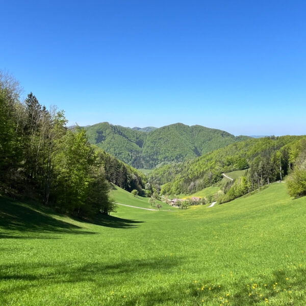 Idyllische Frühlingslandschaft. Foto: Birgit Matzinger