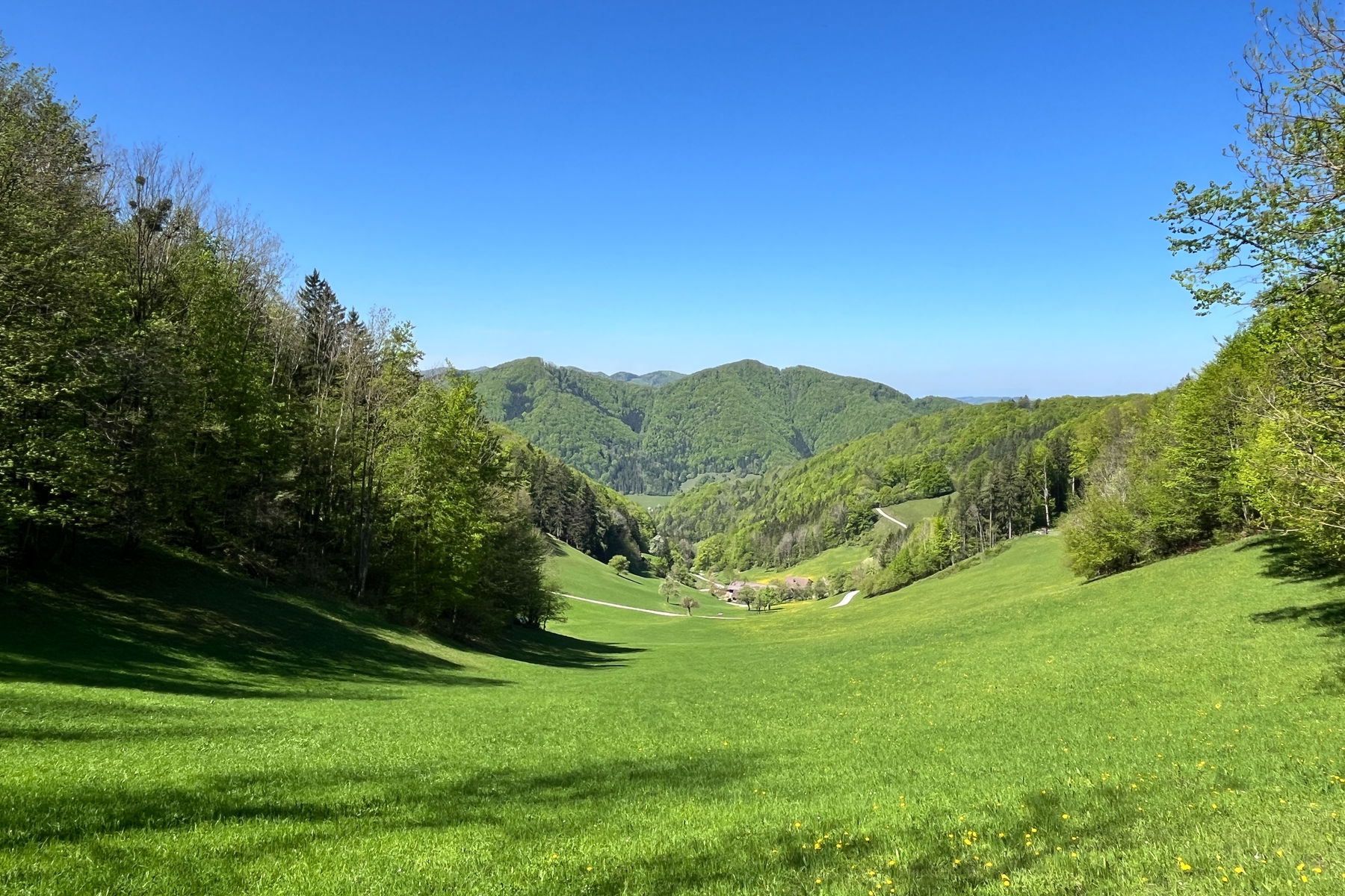 Eine Voralpenwanderung im Mostviertel