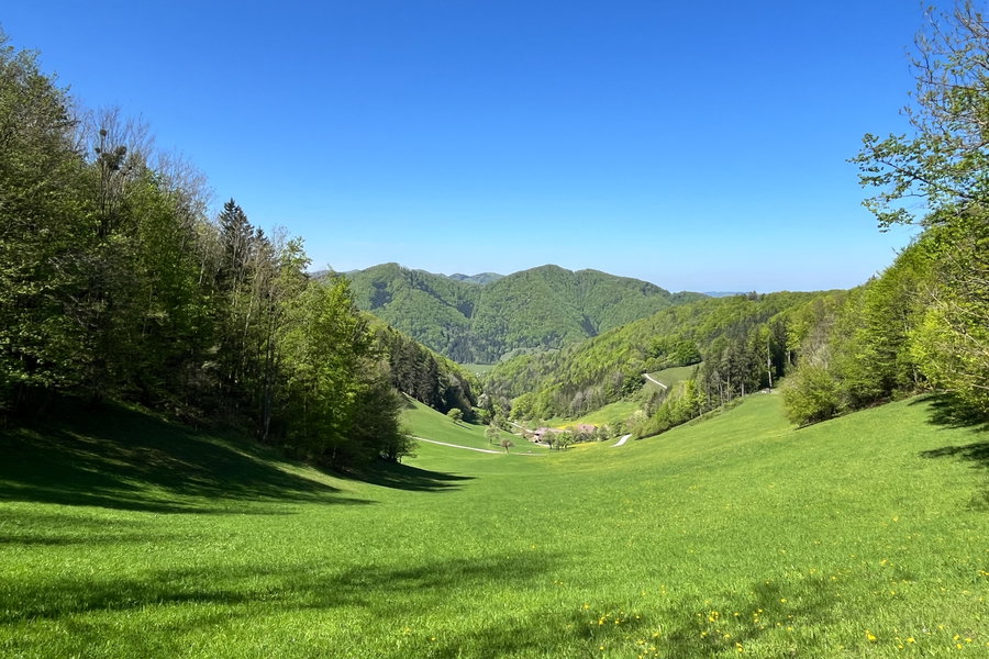 Idyllische Frühlingslandschaft. Foto: Birgit Matzinger