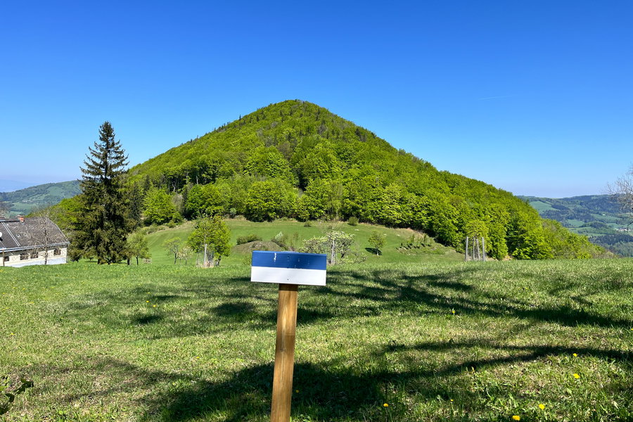 Blick zur Staff. Foto: Birgit Matzinger