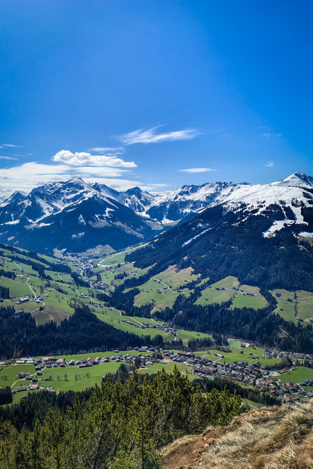 Foto Nikolaus Vogl