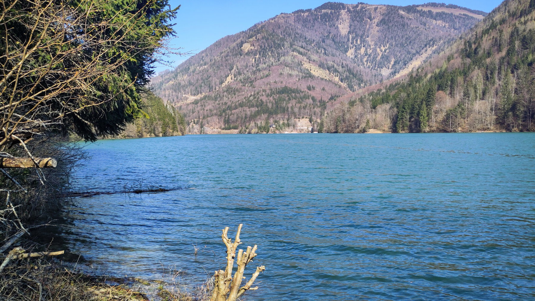 Foto: Karl Plohovich