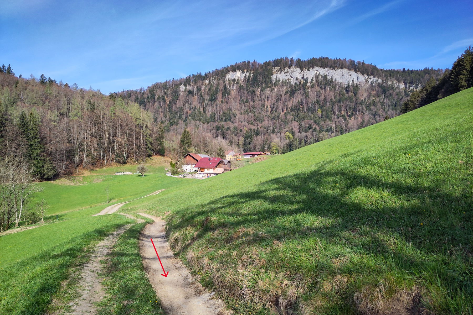 Rückblick zum Bauernhof und zum Mühlstein. Foto: Karl Plohovich
