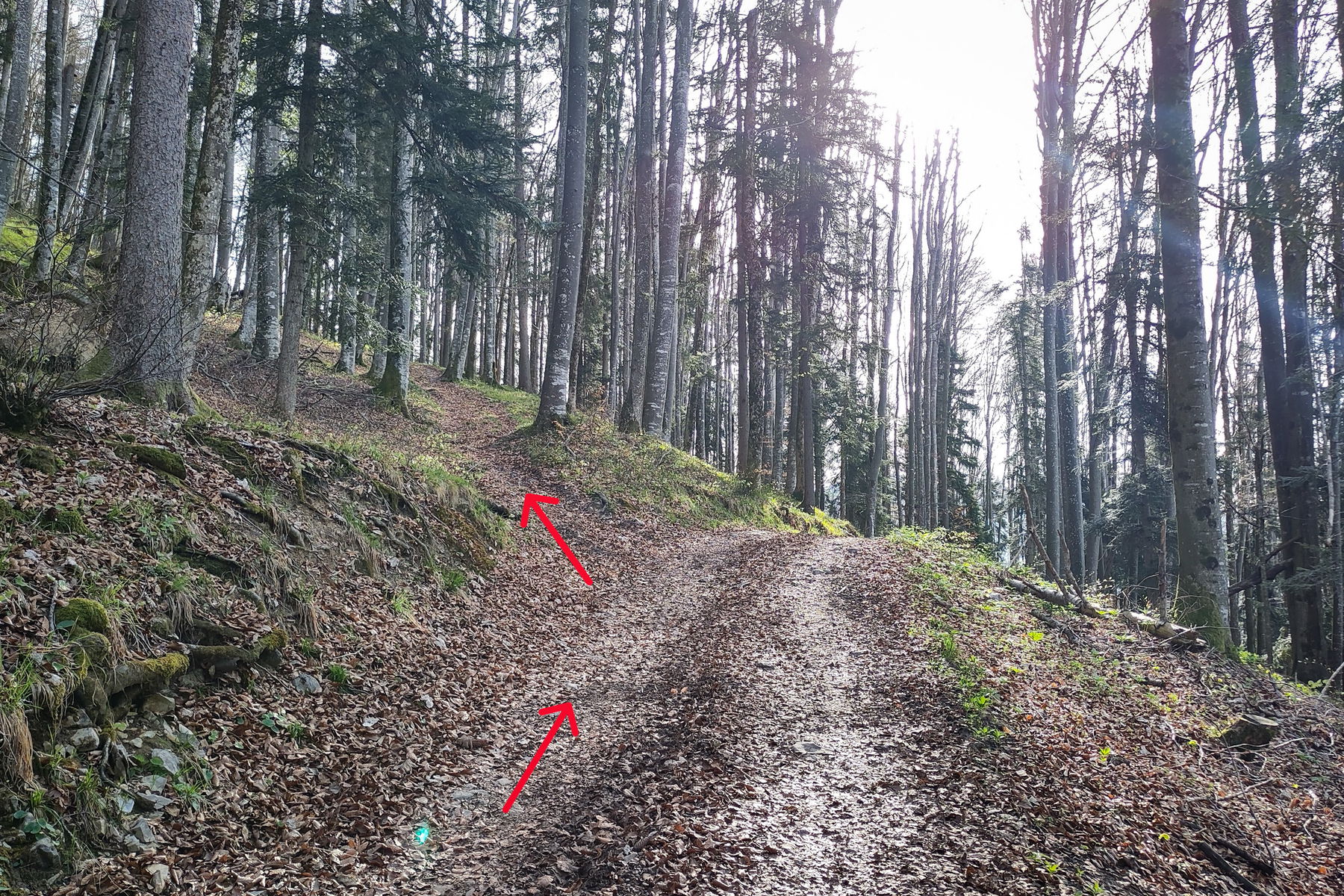 Neue Wegfarbe gefällig? Foto: Karl Plohovich