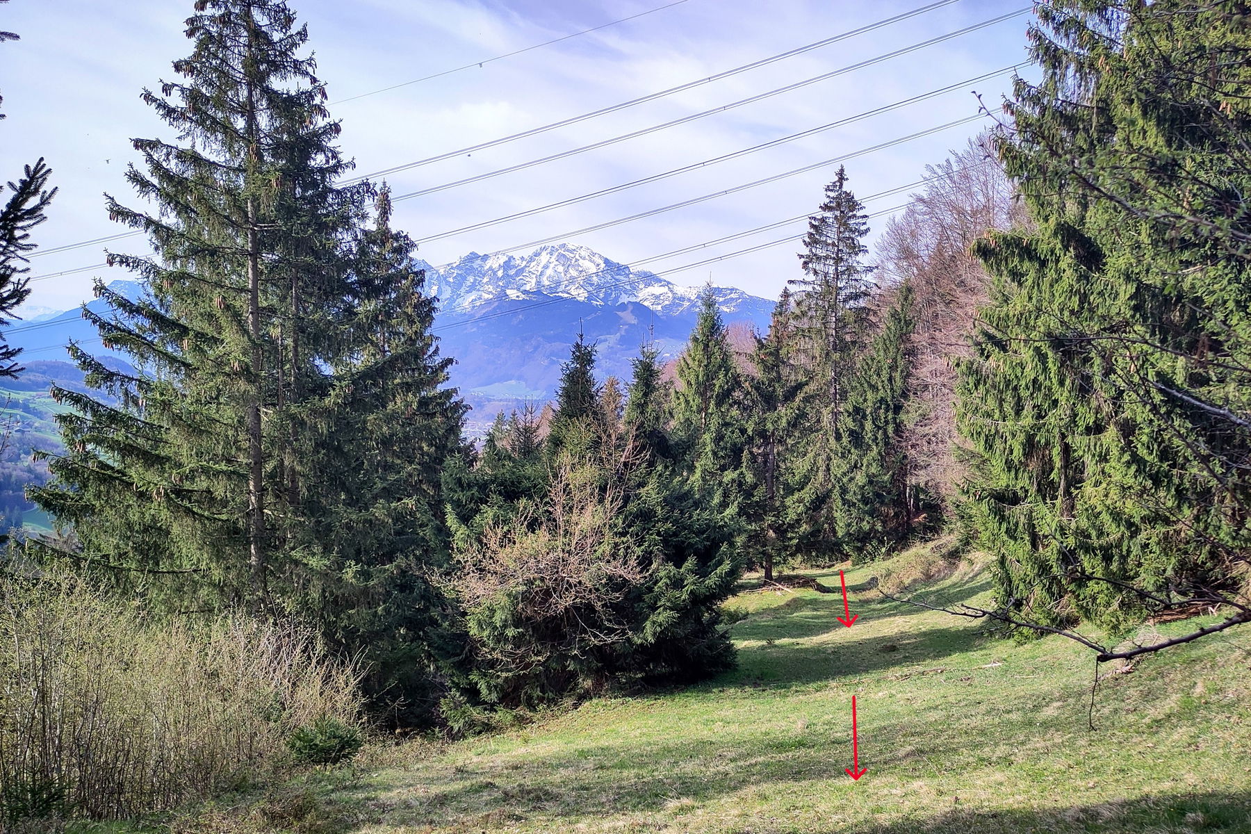 Unter der 380 kV – Leitung hindurch über die Weide – der Göll schaut herüber. Foto: Karl Plohovich