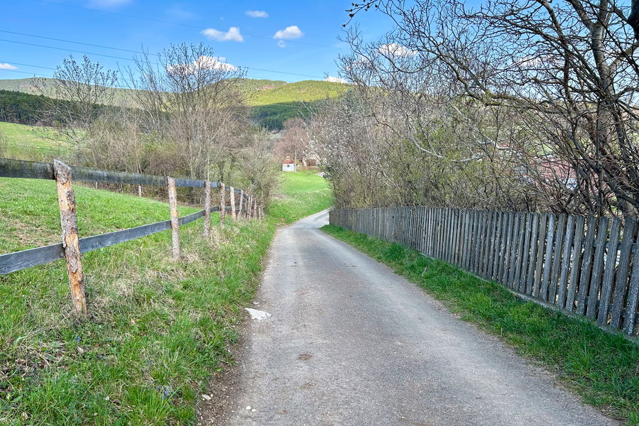 Von Ternitz nach Flatz. Fotos Veronika Schöll