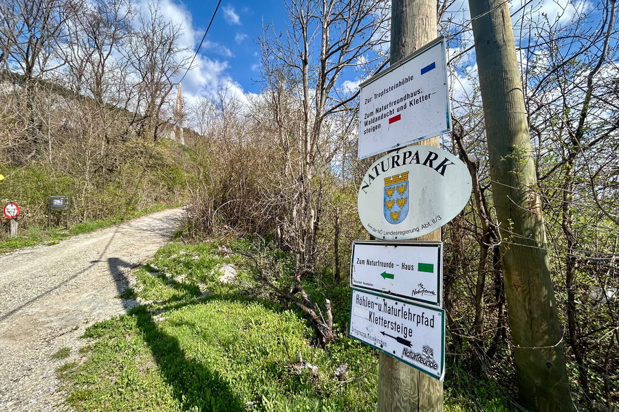 In Flatz. Foto Veronika Schöll