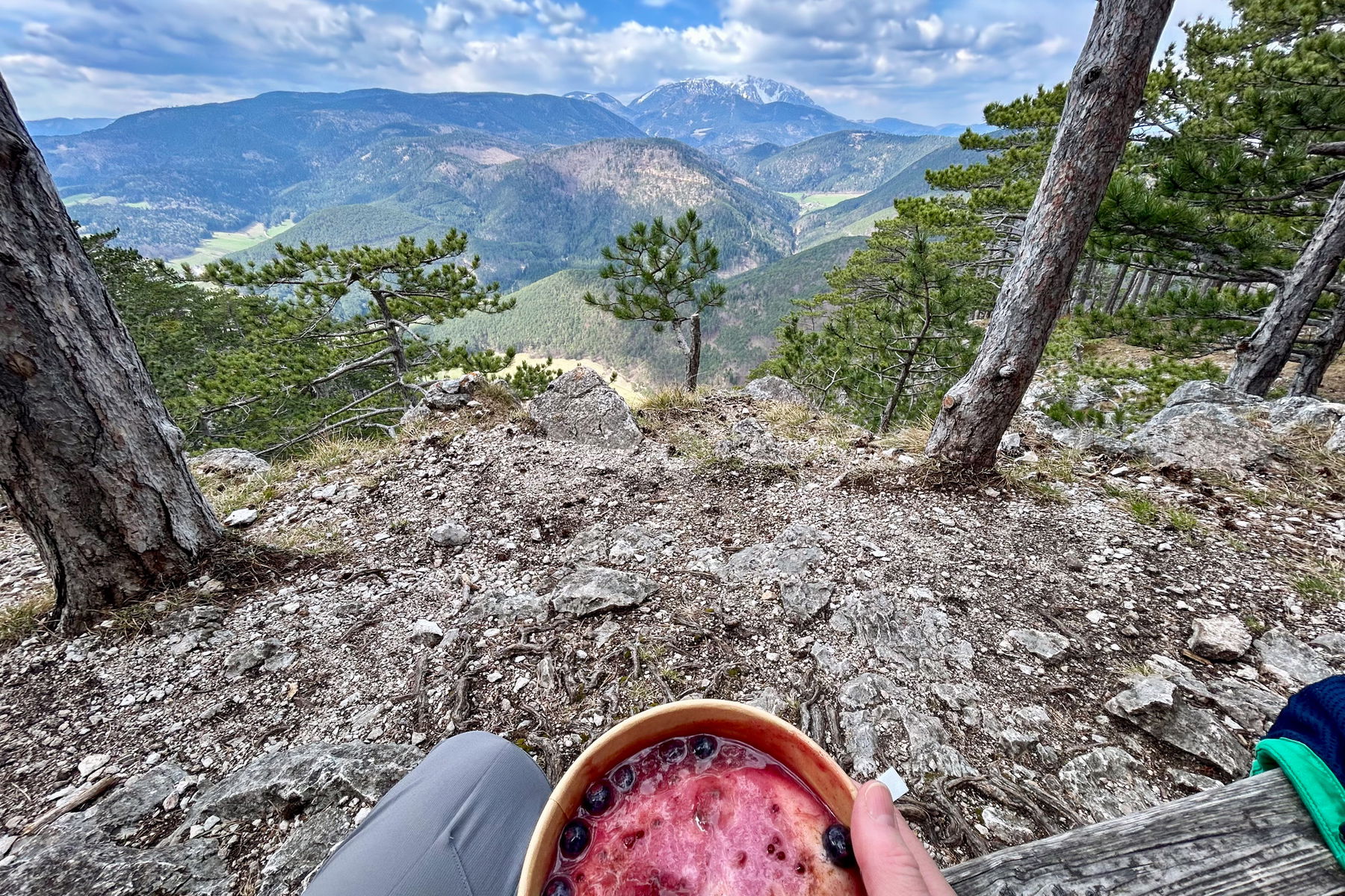 Grieskoch am Gösing