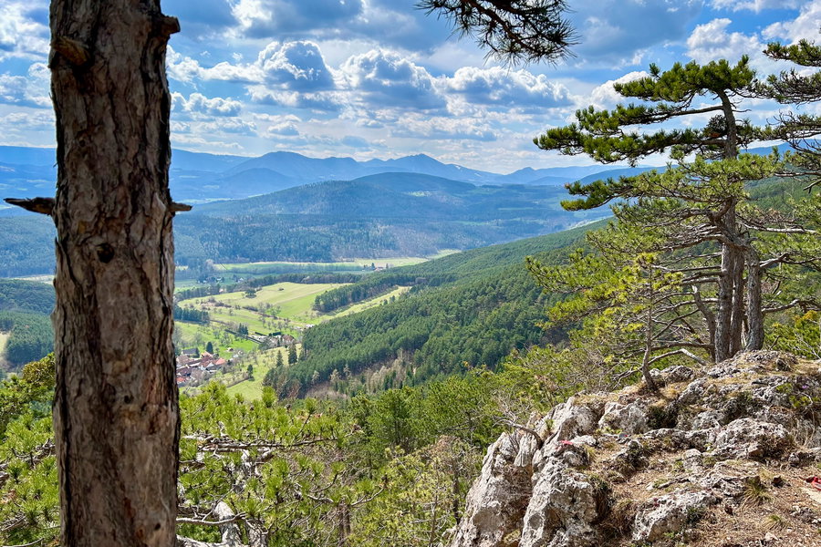 Blickplatz am Hühnersteig. Foto Veronika Schöll