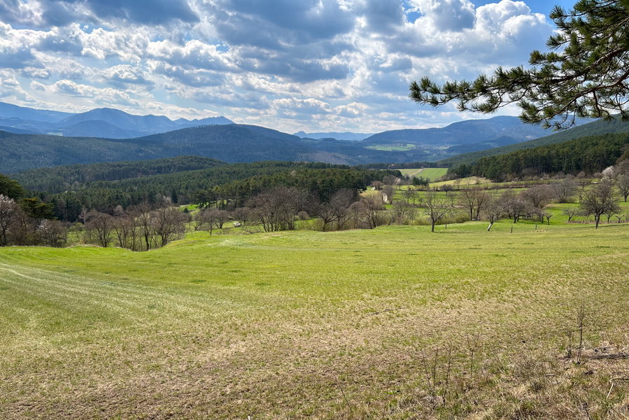 Aussicht im Abstieg. Foto Veronika Schöll