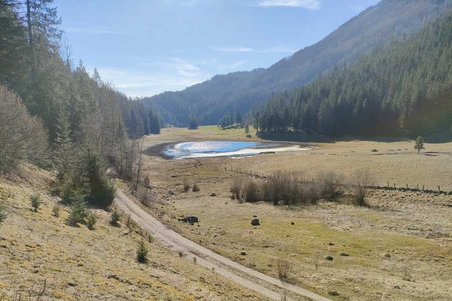 Der Haleswiessee – an diesem Tag mit Normalwasserstand. Foto: Manfred Hinteregger