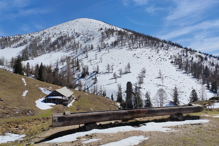 Erfrischende Quelle und Krokus-Festspiele auf der Leonsbergalm. Fotos: Manfred Hinteregger