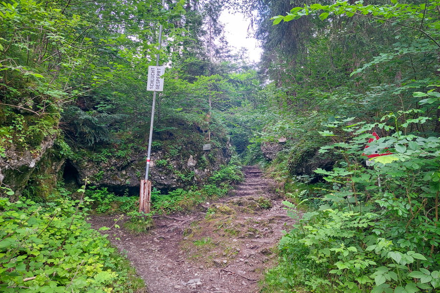 Der Schranken zeigt, dass die Schlucht geöffnet ist. Foto: Alice Frischherz