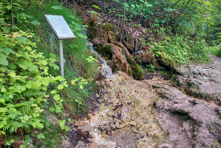 Quelltuff in der Bürser Schlucht. Foto: Alice Frischherz