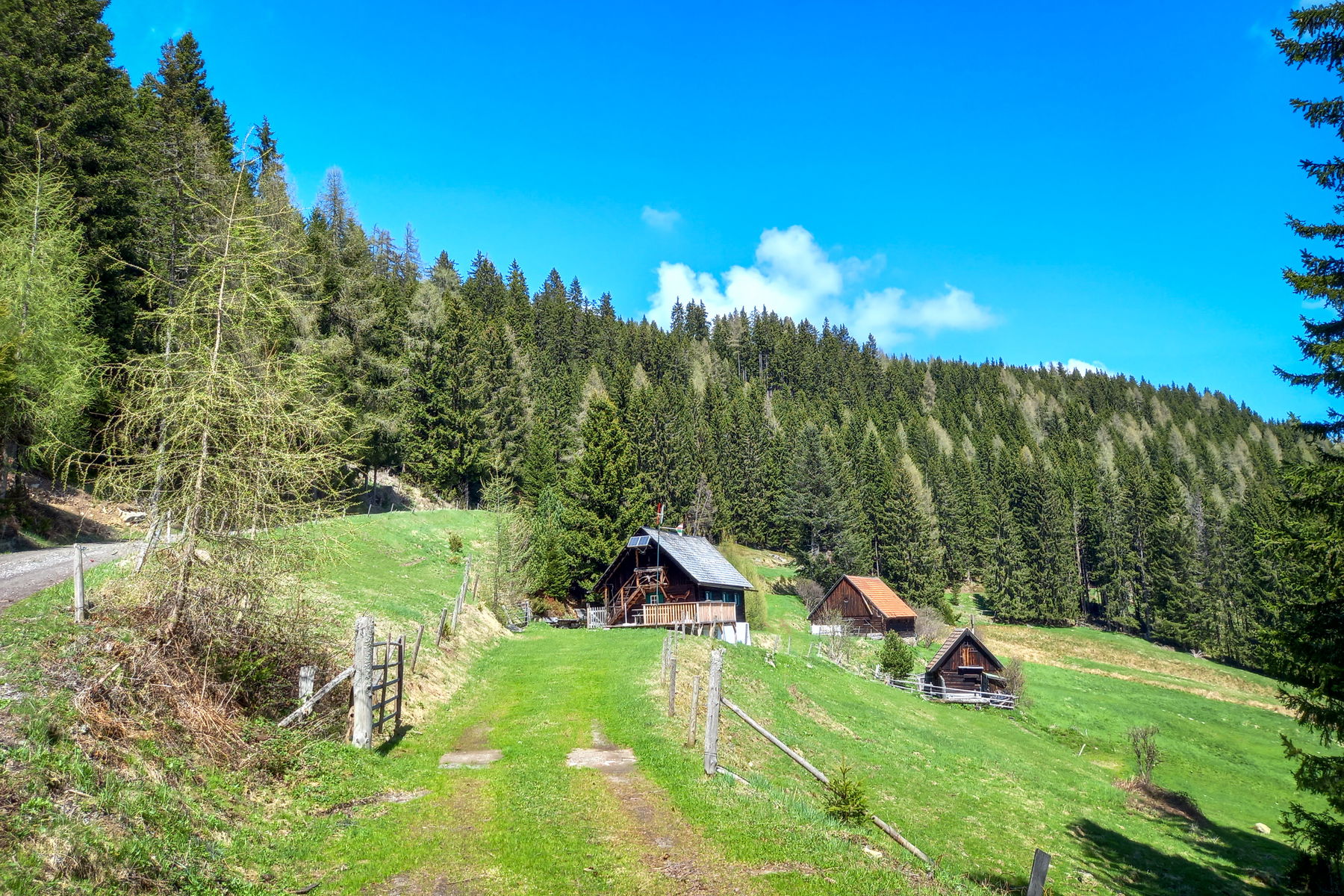 Der Abstieg führt an zahlreichen Almhütten vorbei. Foto: Martina Friesenbichler