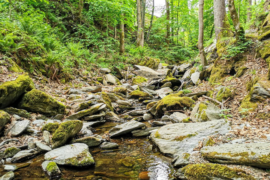 Römerschlucht. Foto: Silvia Henglmüller