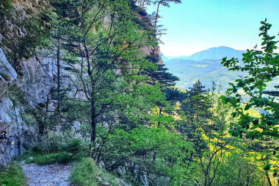 Ein kurzer Abschnitt am Mariensteig gesichert mit Seilen mit Blick zurück auf Payerbach-Reichenau durch die Bäume. Foto: Linda Prähauser