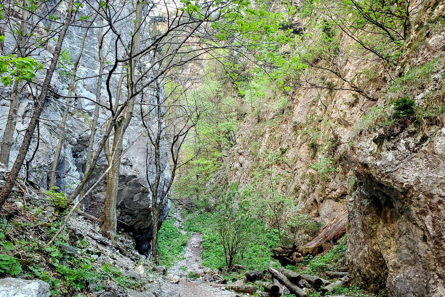 Durch die pittoreske Klamm geht es bergauf zur Knofeleben. Foto: Linda Prähauser