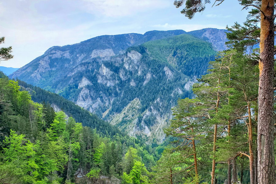 Ein Blick auf die Rax vor mir beim Abstieg zum Weichentalhaus. Foto: Linda Prähauser