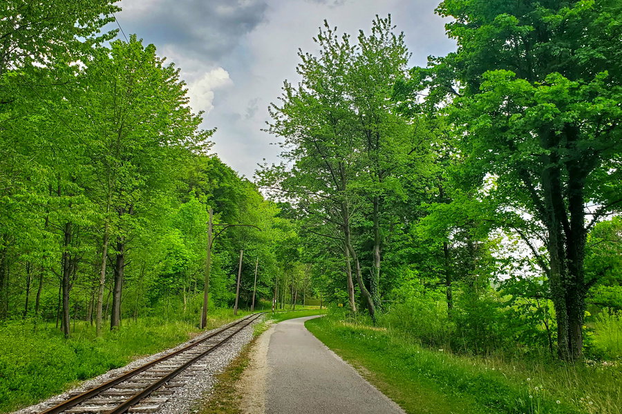 Neben der Höllentalbahn geht es immer weiter Richtung Reichenau. Rechts neben dem Weg fließt noch immer die Schwarza. Foto: Linda Prähauser
