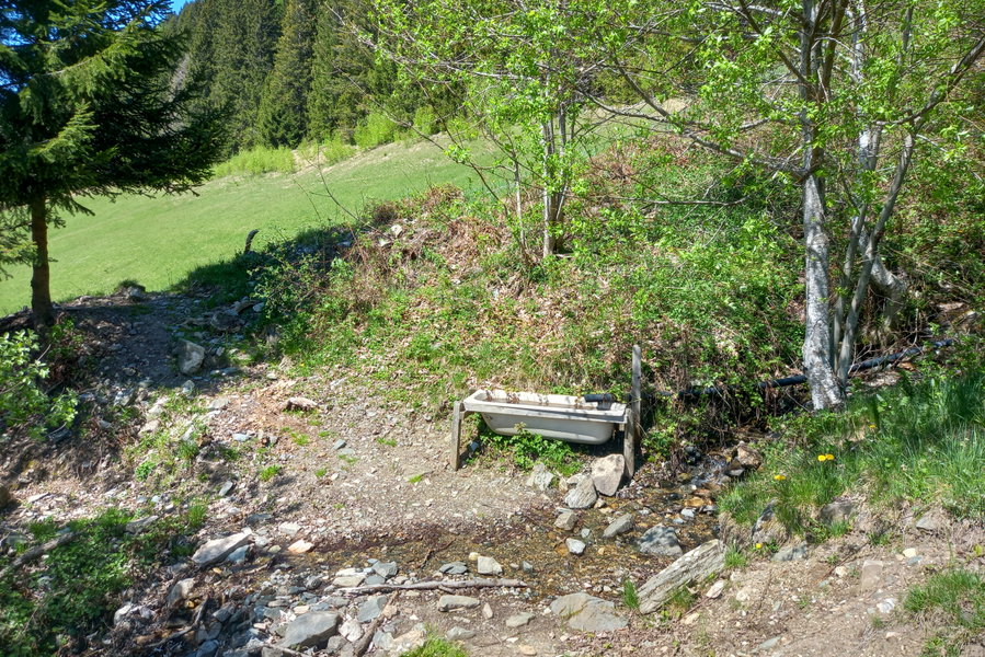 Kurz bevor es in den Wald geht, muss ich ein kleines Bächlein überqueren. Foto: Martina Friesenbichler