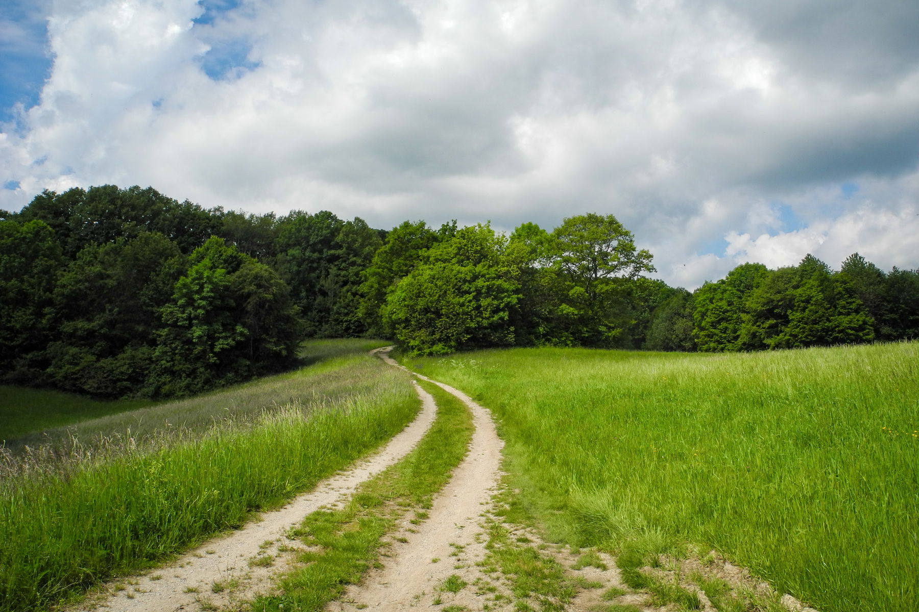 Feldweg auf die Sulzer Höhe. Foto: Barbara Wanzenböck