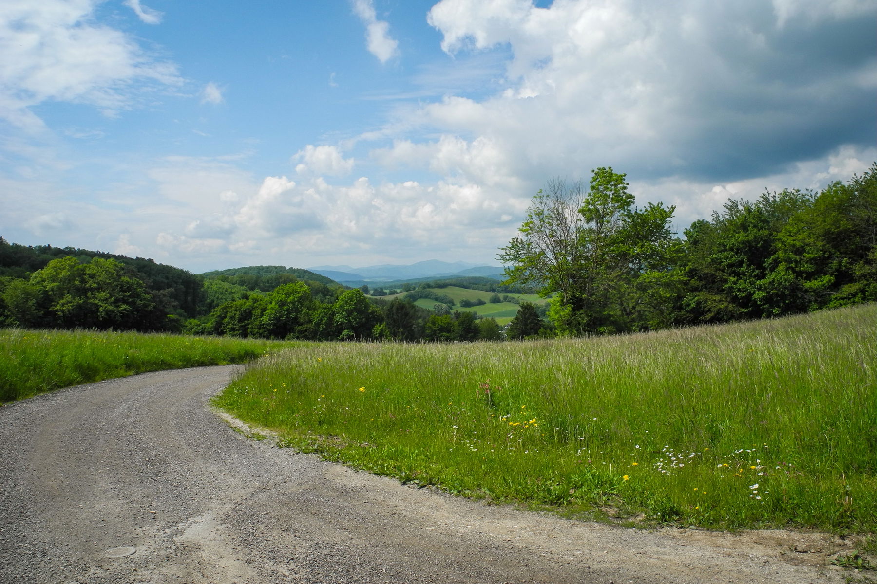 Blick von der Sulzer Höhe Richtung Westen. Foto: Barbara Wanzenböck