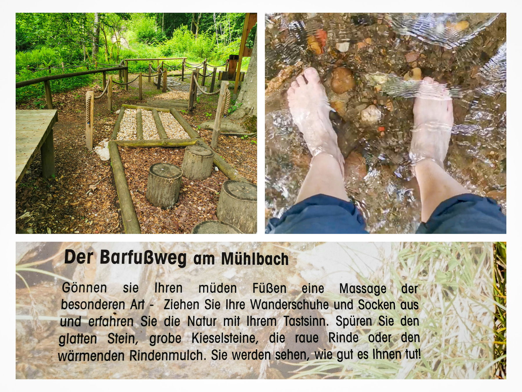 Barfuß auf Steinen, Holz und im frischen Wasser. Foto: Silvia Henglmüller