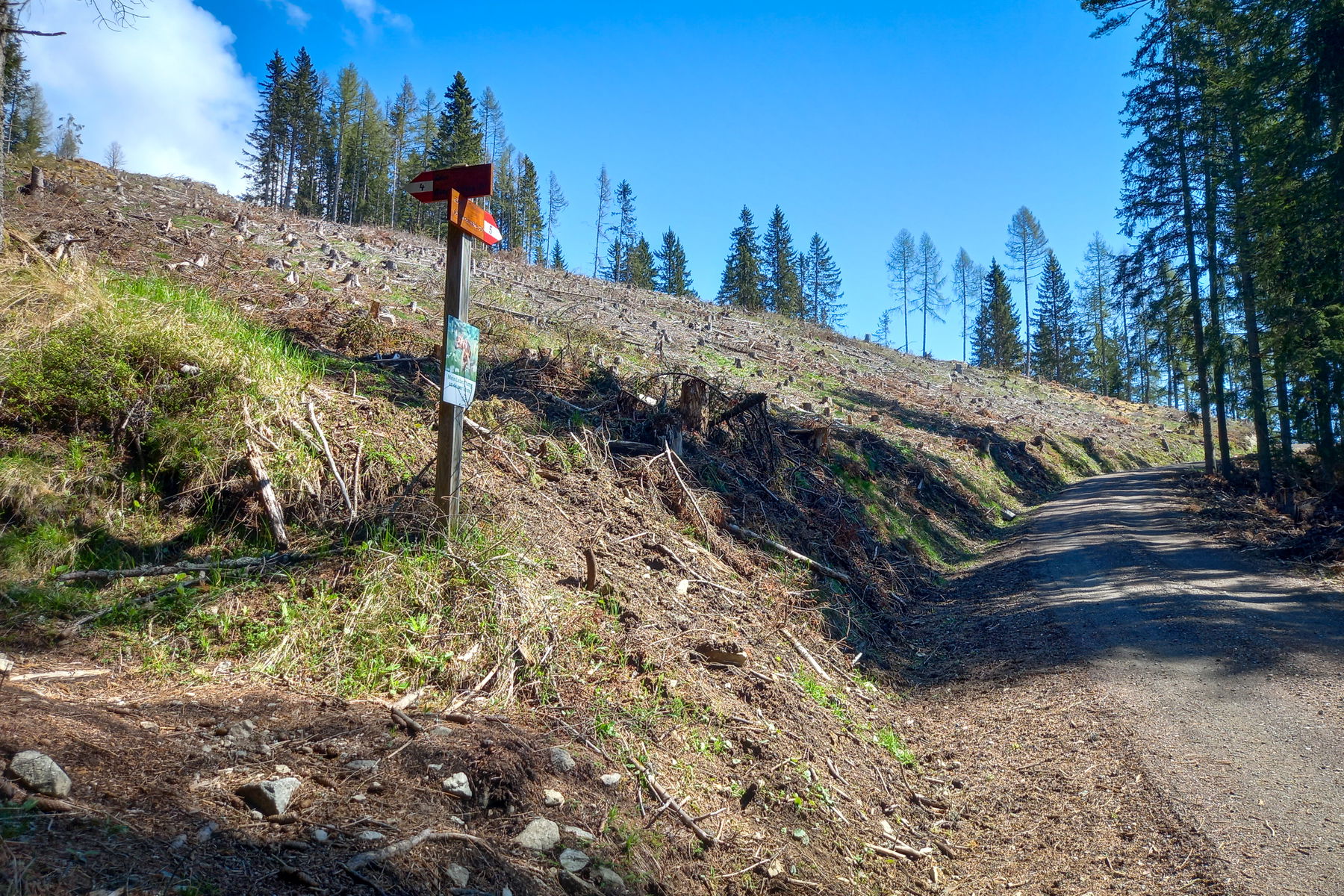 Zum Gipfel führen zwei Wege, die sich zu einer schönen Rundtour kombinieren lassen. Foto: Martina Friesenbichler