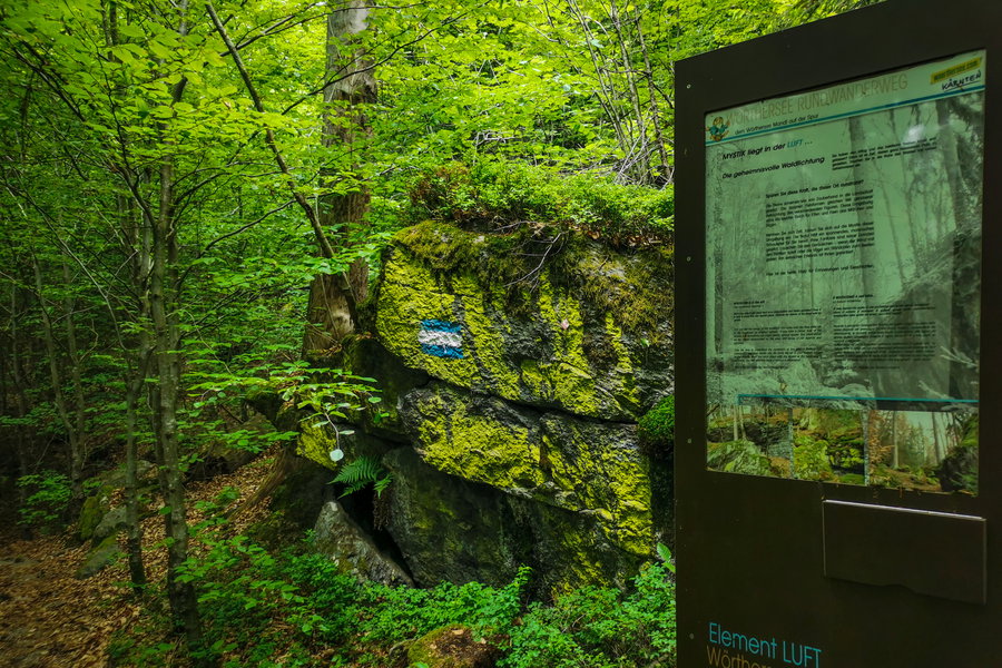 Kraftplatz im Wald. Foto: Silvia Henglmüller