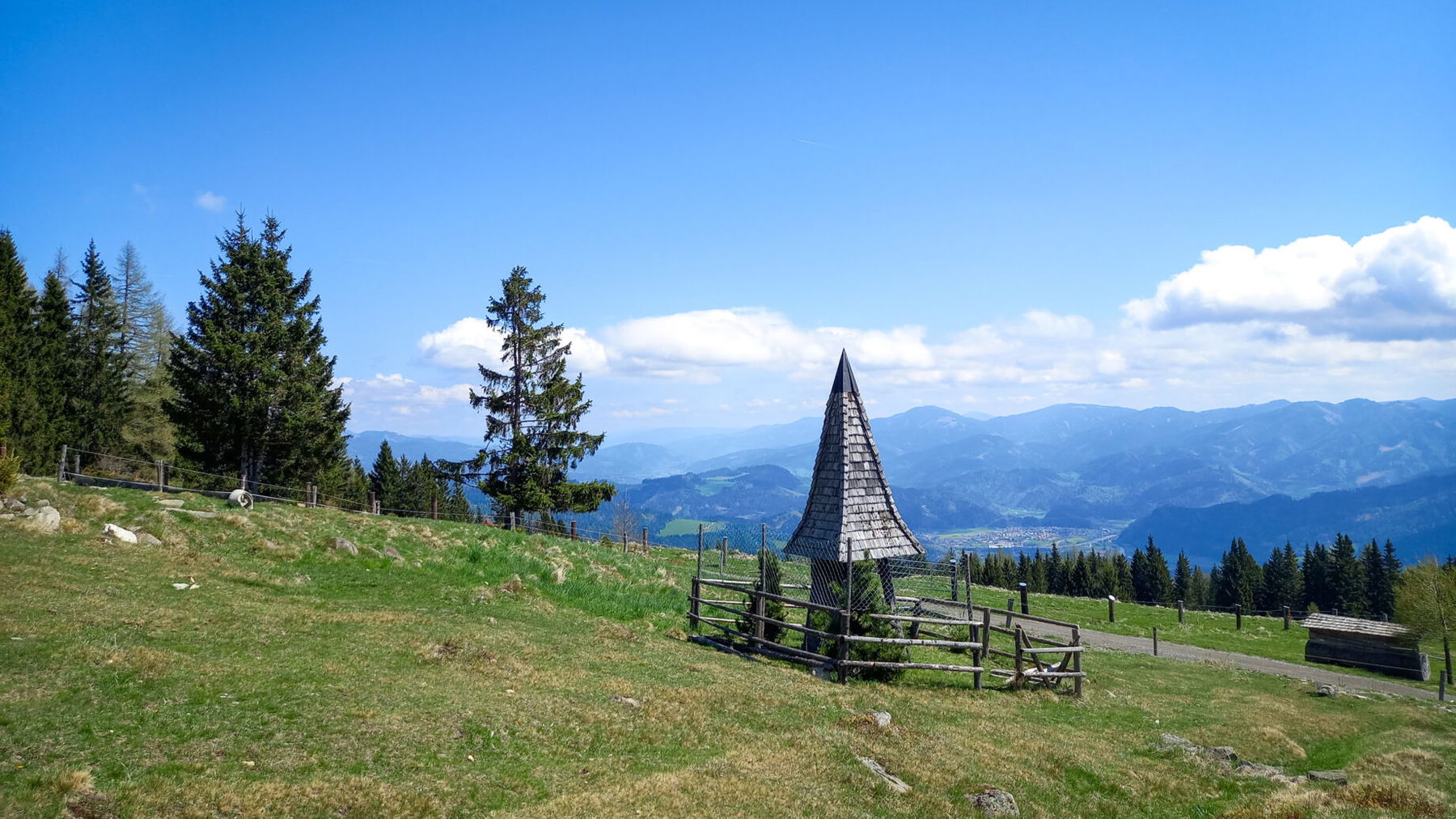 Stegmoaralm. Foto: Martina Friesenbichler