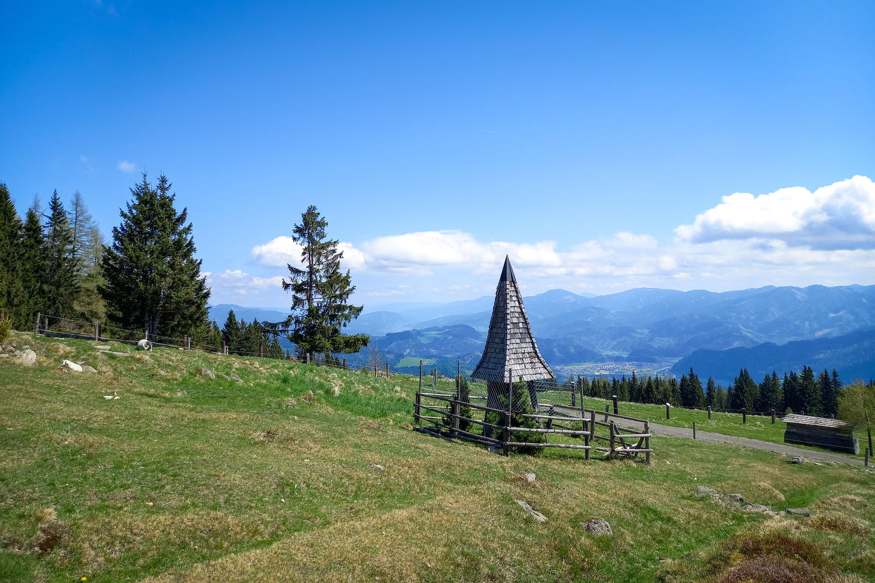 Stegmoaralm. Foto: Martina Friesenbichler