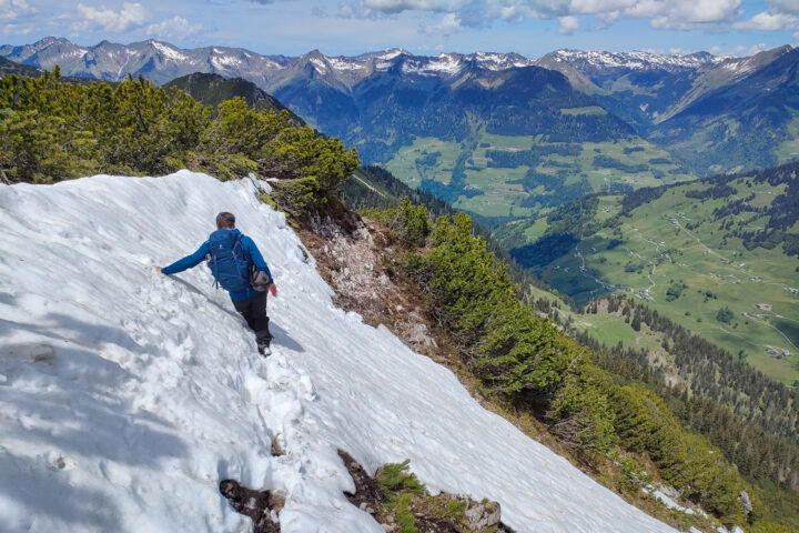 Frühlingsenzian und Mehlprimeln erfreuen des Wanderers Herz, der Restschnee gebietet Aufmerksamkeit (erfreut aber auch das Herz…). Fotos: Manfred Hinteregger