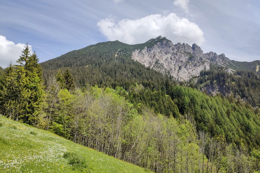 Schöner Rückblick zum Breithorn und zur anschließenden, von hier höher wirkenden Elsspitze (1.980 Meter). Foto: Manfred Hinteregger