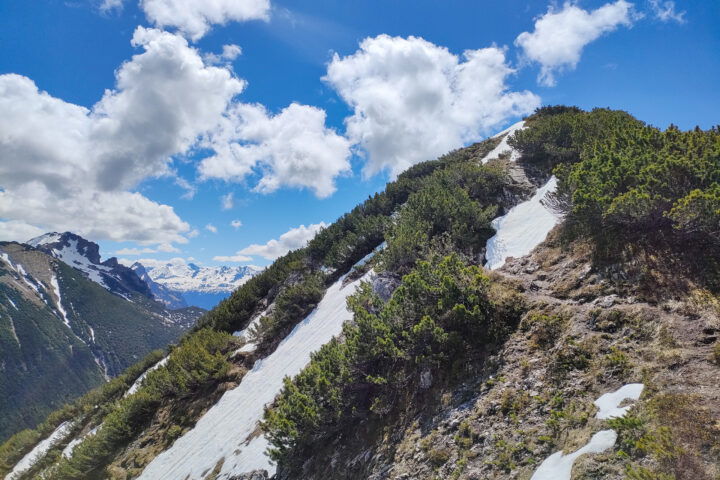 Die letzten Meter zum Gipfel, im Rückblick das Große Walsertal und die Rote Wand. Fotos: Manfred Hinteregger