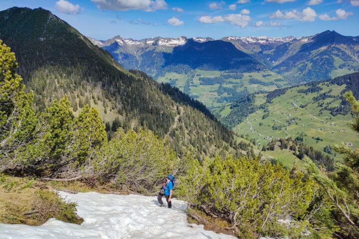 Die letzten Meter zum Gipfel, im Rückblick das Große Walsertal und die Rote Wand. Fotos: Manfred Hinteregger