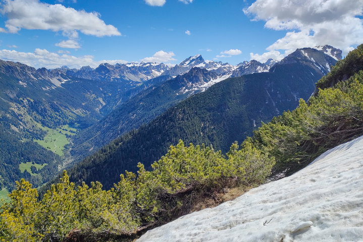 Die letzten Meter zum Gipfel, im Rückblick das Große Walsertal und die Rote Wand. Fotos: Manfred Hinteregger 
