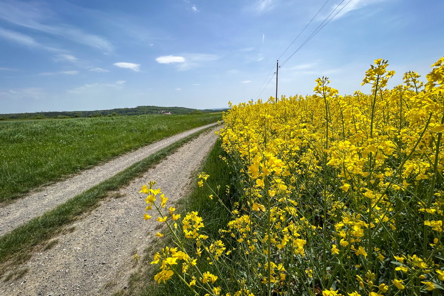 Kurz vor Messern wandere ich nach Süden weiter. Foto Veronika Schöll
