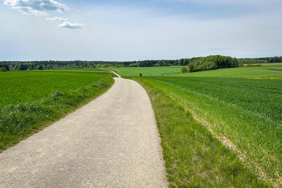 Bis in die Unendlichkeit und noch viel weiter. Foto Veronika Schöll 