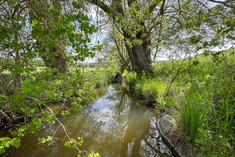 Die Große (kleine) Taffa. Foto Veronika Schöll