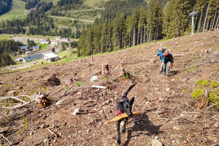 Los geht’s am Präbichl. Auch Hund Stefan ist bei unserer Tour dabei. Fotos: Manfred Hinteregger 