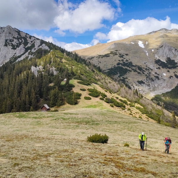 Am Weg zum Zirbenkogel mit Blick zurück zur Leobner Mauer (links). Foto: Manfred Hinteregger