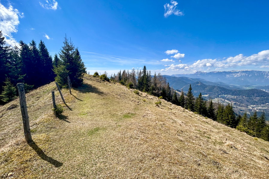 Hochalmweg- Foto Veronika Schöll