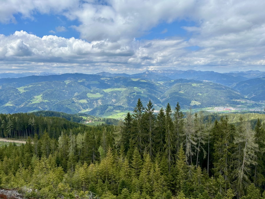 Aussicht genießen. Foto Veronika Schöll